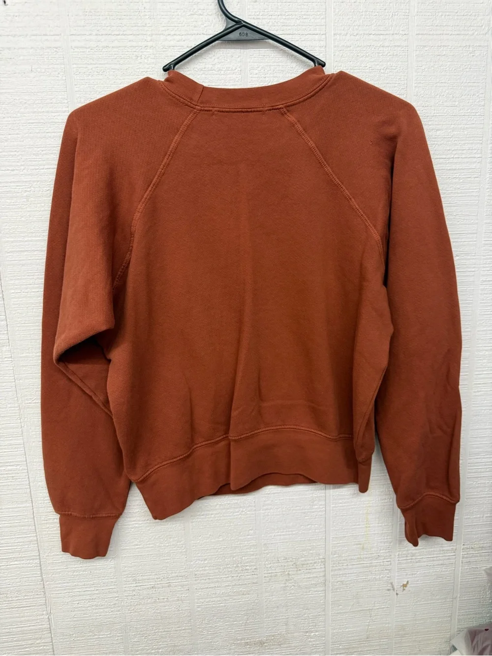 Free People Daydreamer Rust Graphic Willie Nelson Crew Sweatshirt